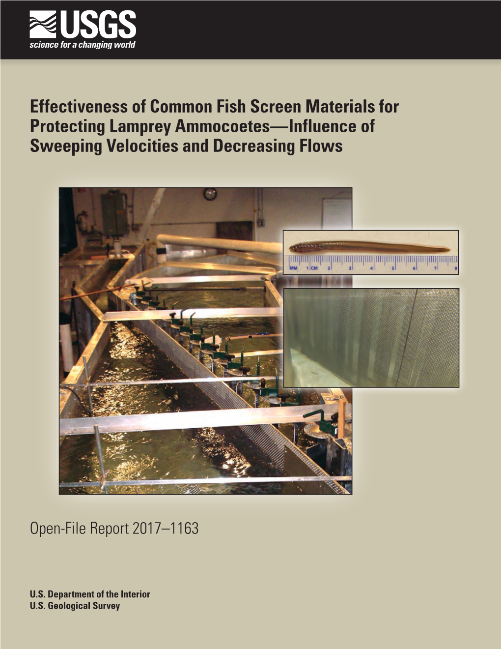 Effectiveness of Common Fish Screen Materials for Protecting Lamprey Ammocoetes—Influence of Sweeping Velocities and Decreasing Flows