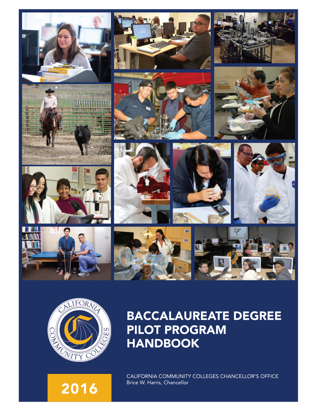 Baccalaureate Degree Pilot Program Handbook