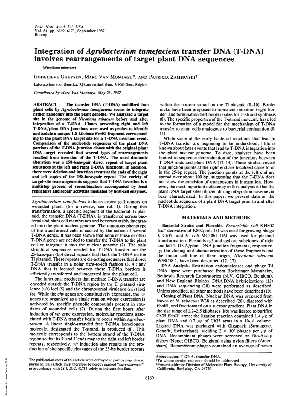 Integration of Agrobacterium Tumefaciens Transfer DNA (T-DNA)