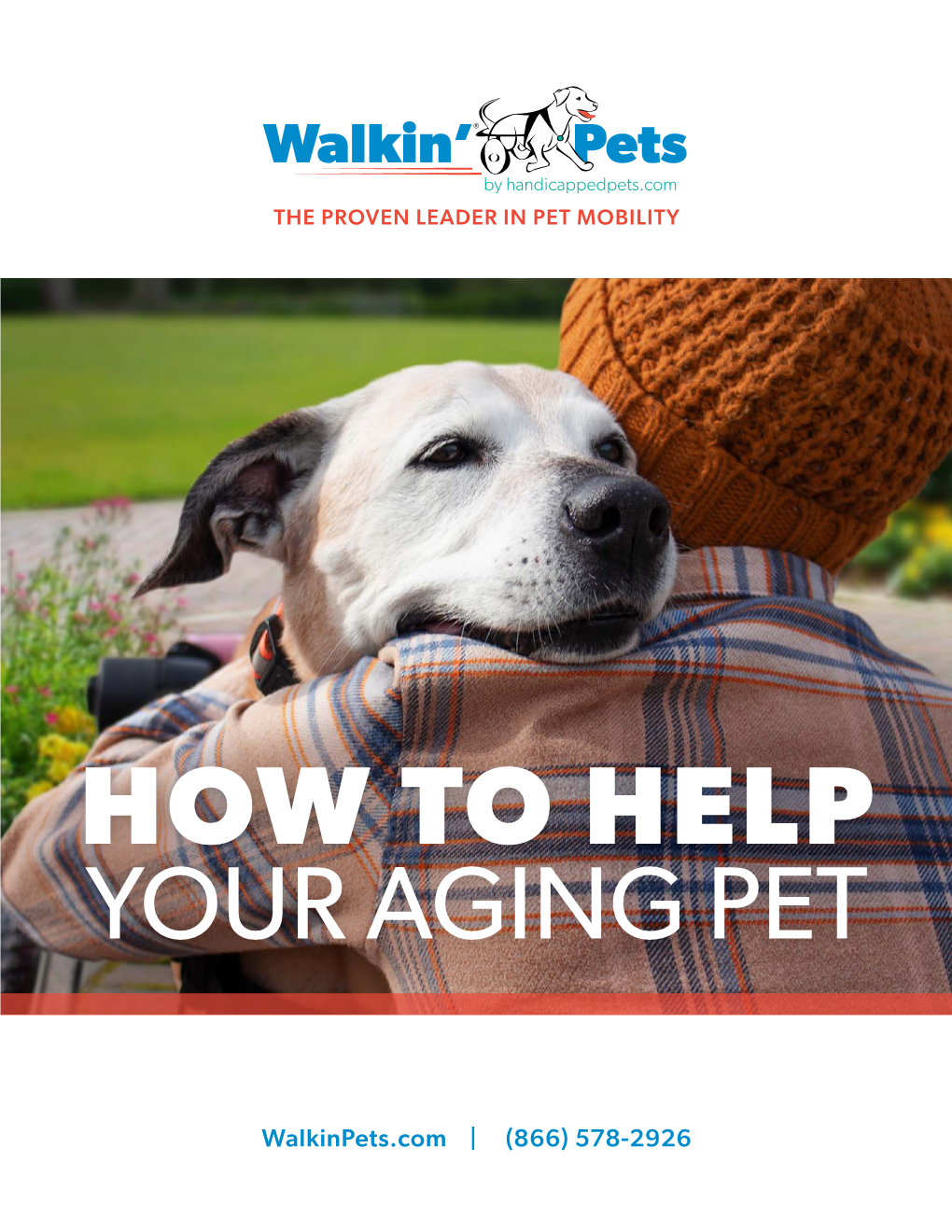 How to Help Your Aging Pet