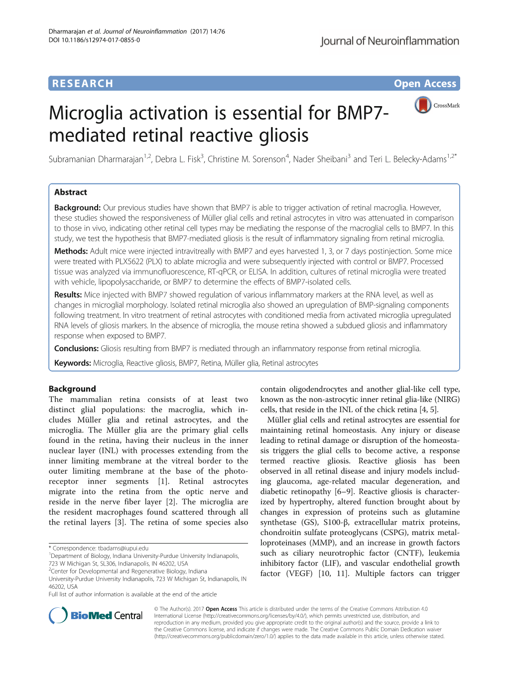 Microglia Activation Is Essential for BMP7-Mediated Retinal Reactive