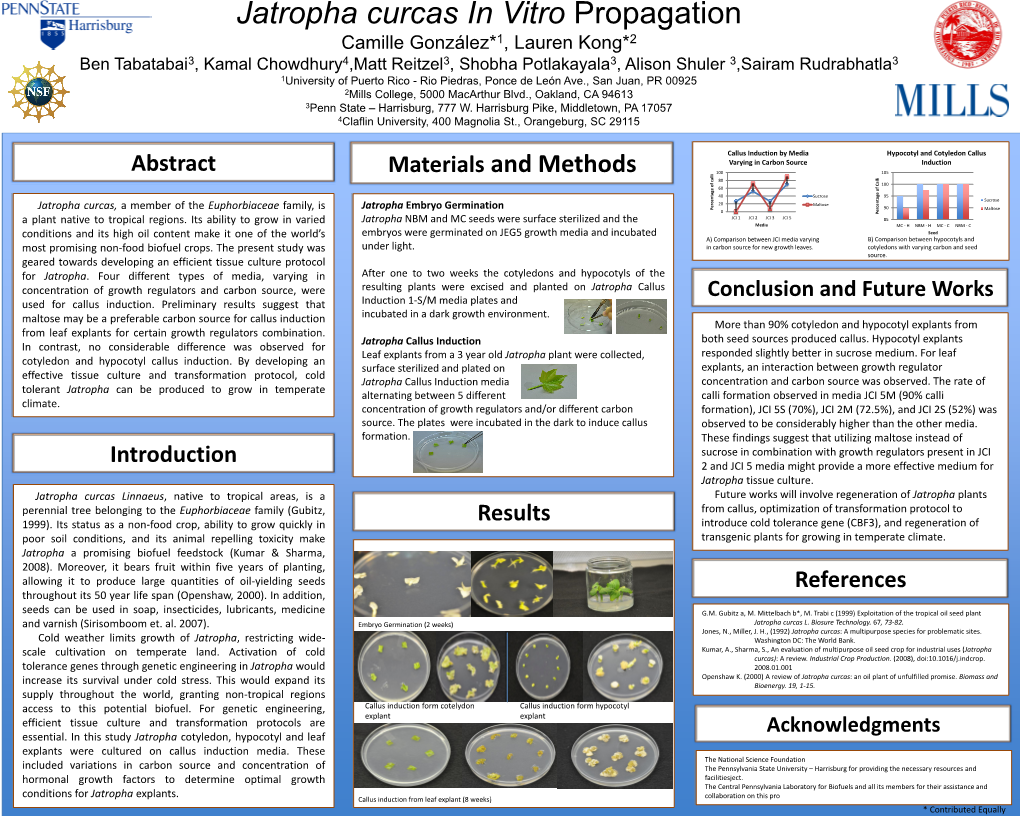 Jatropha Curcas in Vitro Propagation