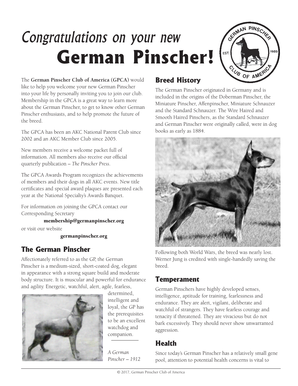 German Pinscher!