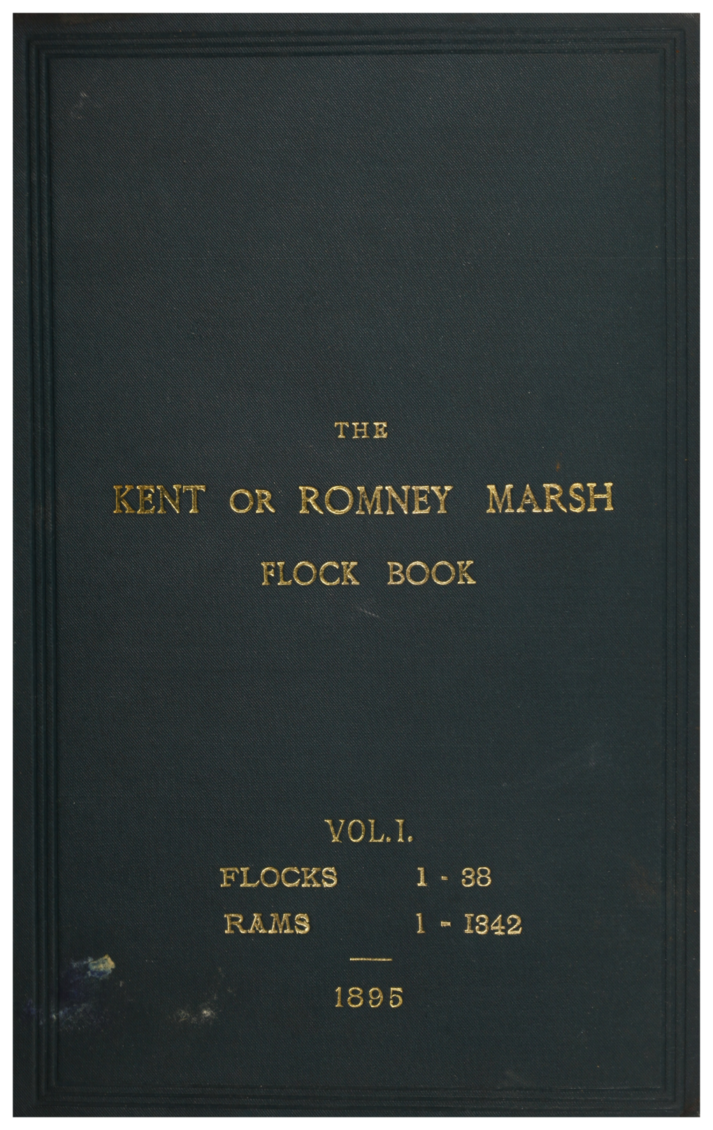 Kent Or Romney Marsh Sheep