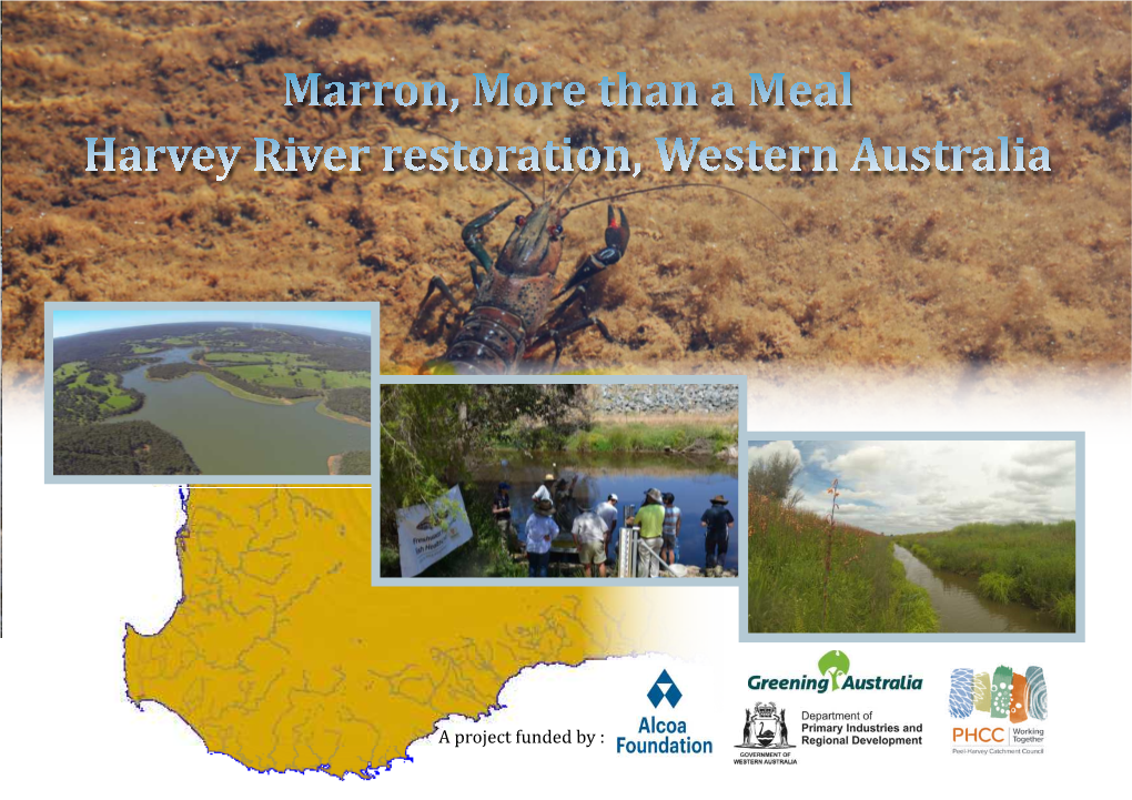Marron, More Than a Meal Harvey River Restoration, Western Australia