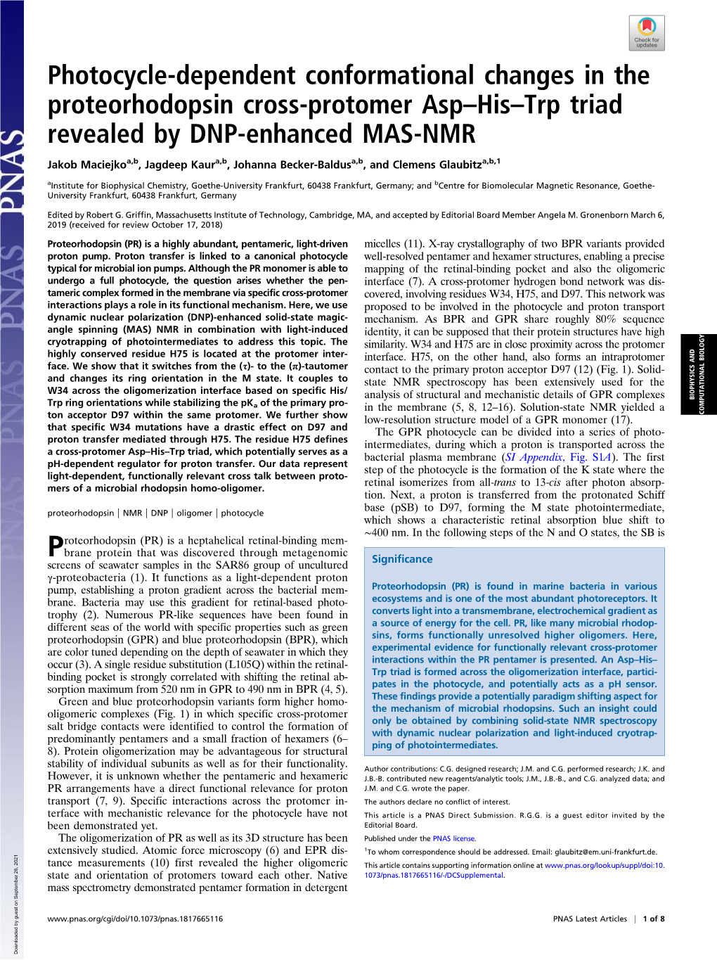 Proteorhodopsin Cross-Protomer Asp–His–Trp Triad Revealed by DNP-Enhanced MAS-NMR