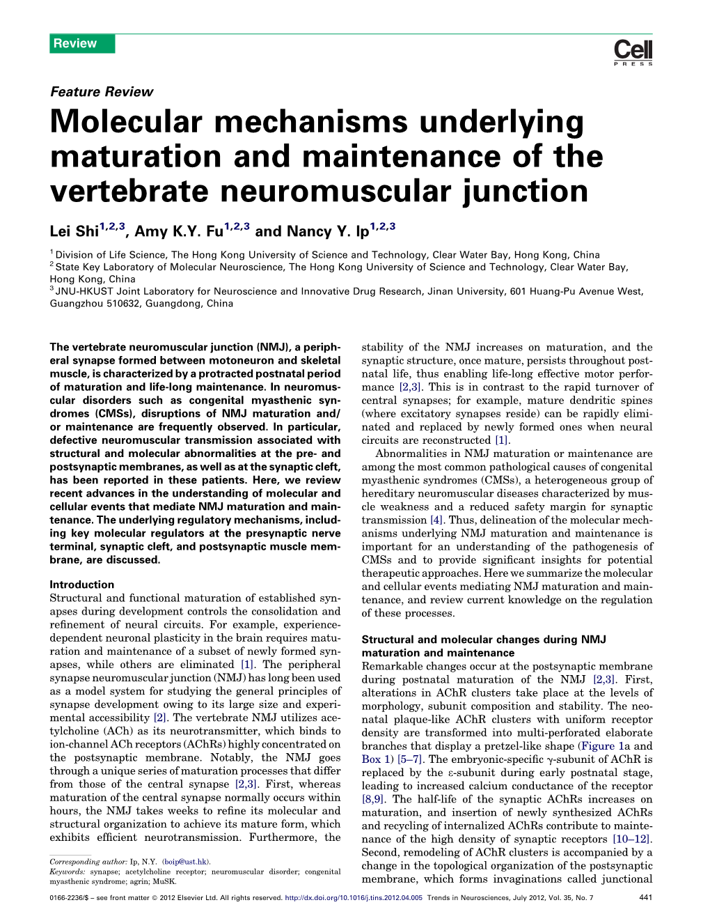 Molecular Mechanisms Underlying Maturation and Maintenance of The