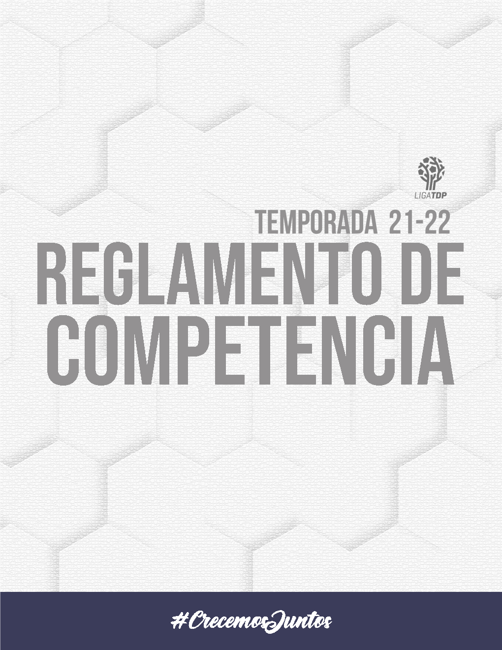 Reglamentodecompetencia.Pdf