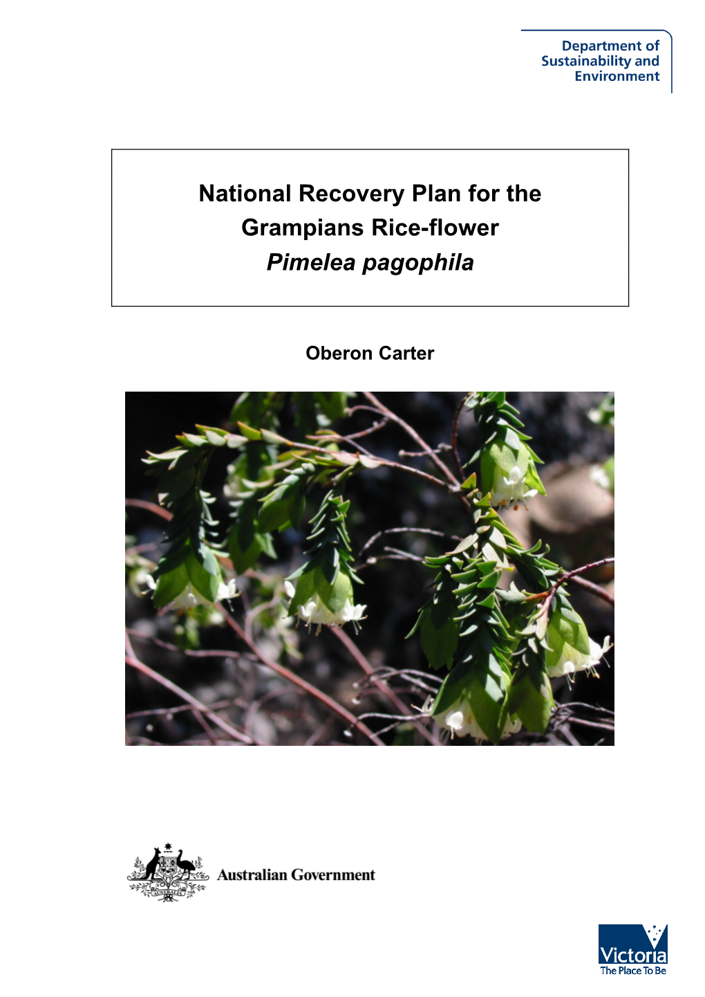 National Recovery Plan for the Grampians Rice-Flower Pimelea Pagophila