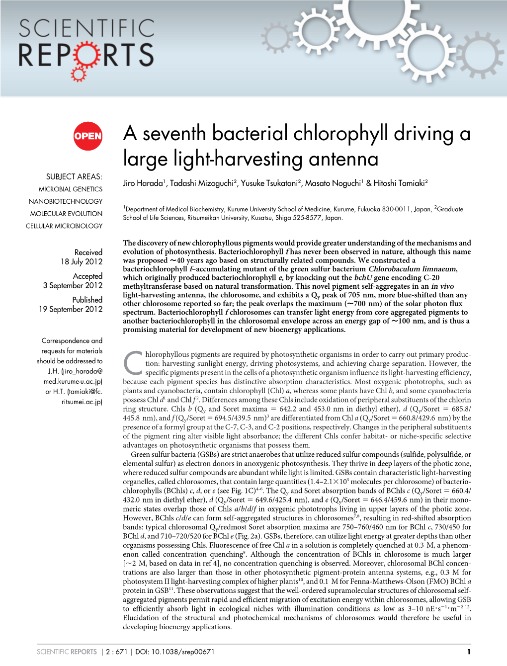 A Seventh Bacterial Chlorophyll Driving a Large Light-Harvesting Antenna