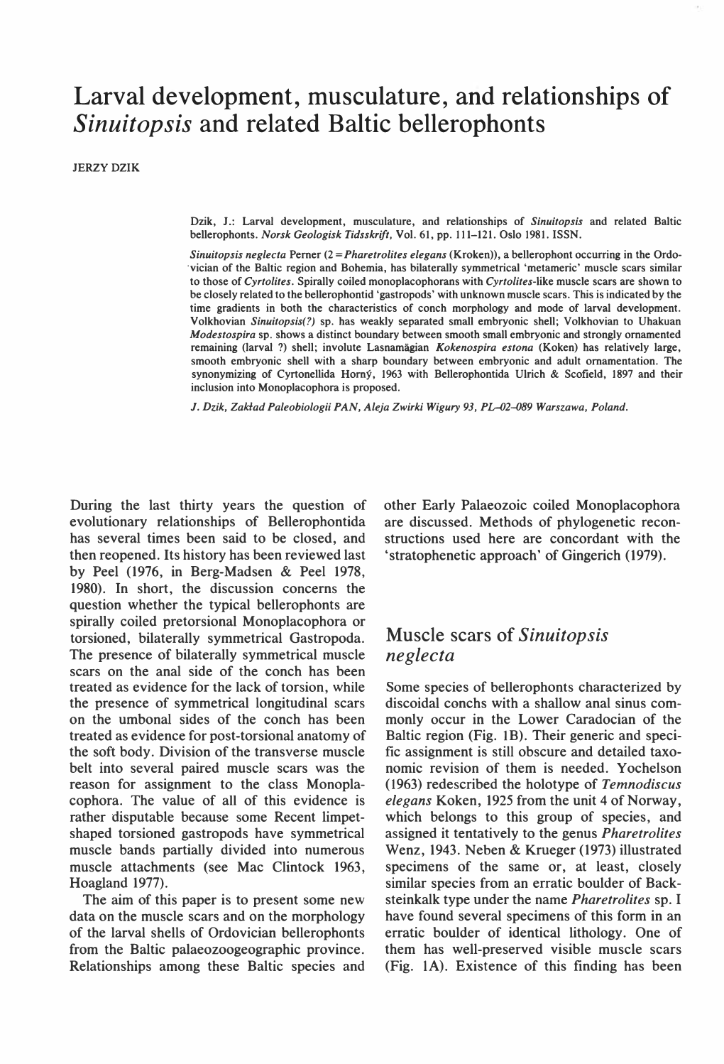 Larval Development, Musculature, and Relationships of Sinuitopsis and Related Baltic Bellerophonts