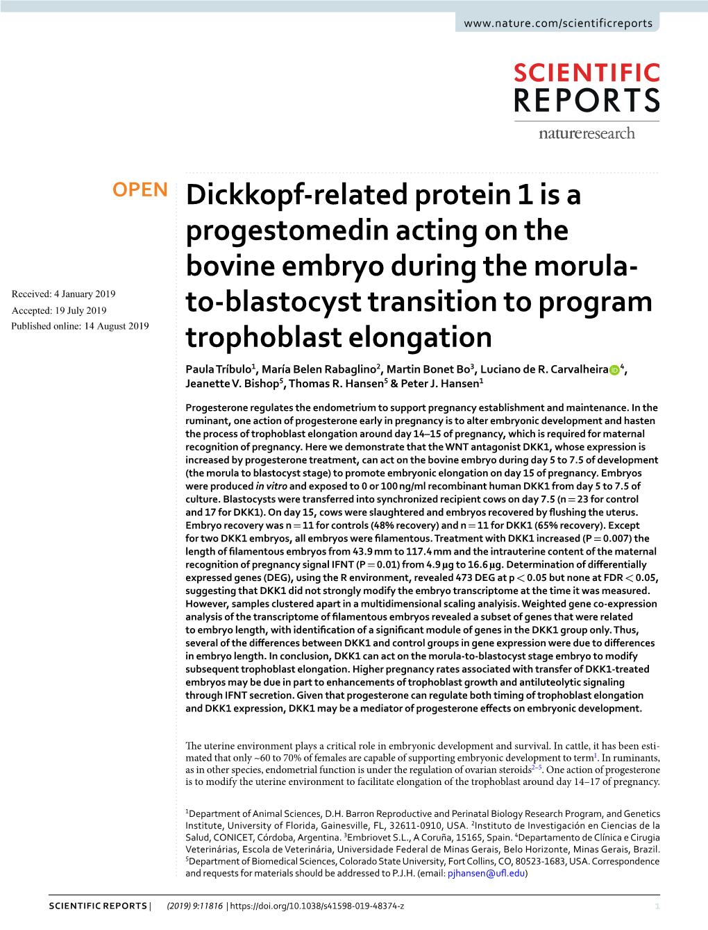 To-Blastocyst Transition to Program Trophoblast Elongation