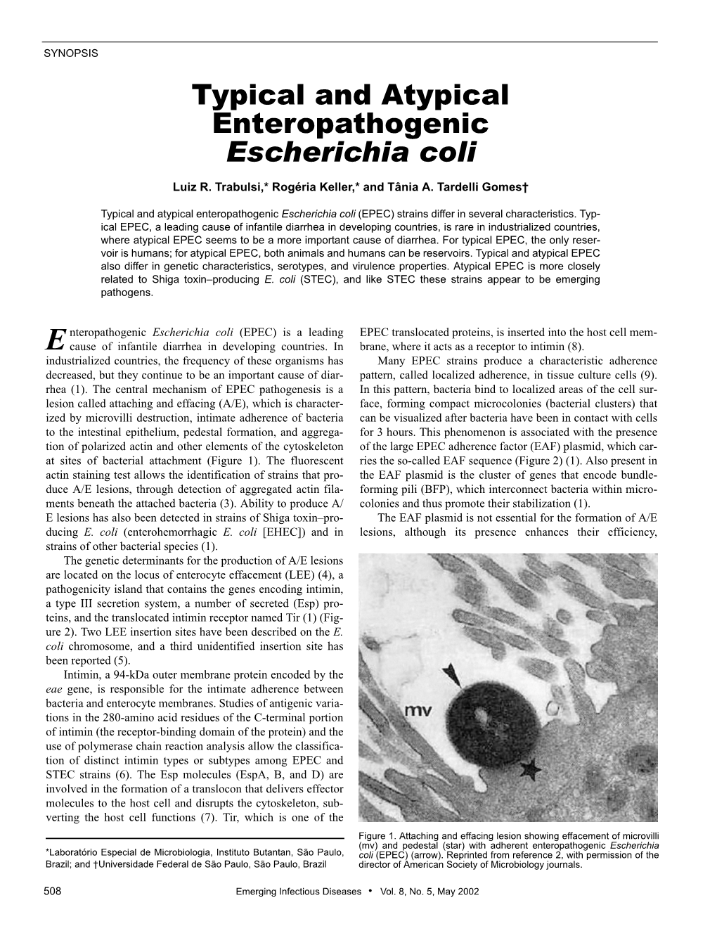 Typical and Atypical Enteropathogenic Escherichia Coli Luiz R