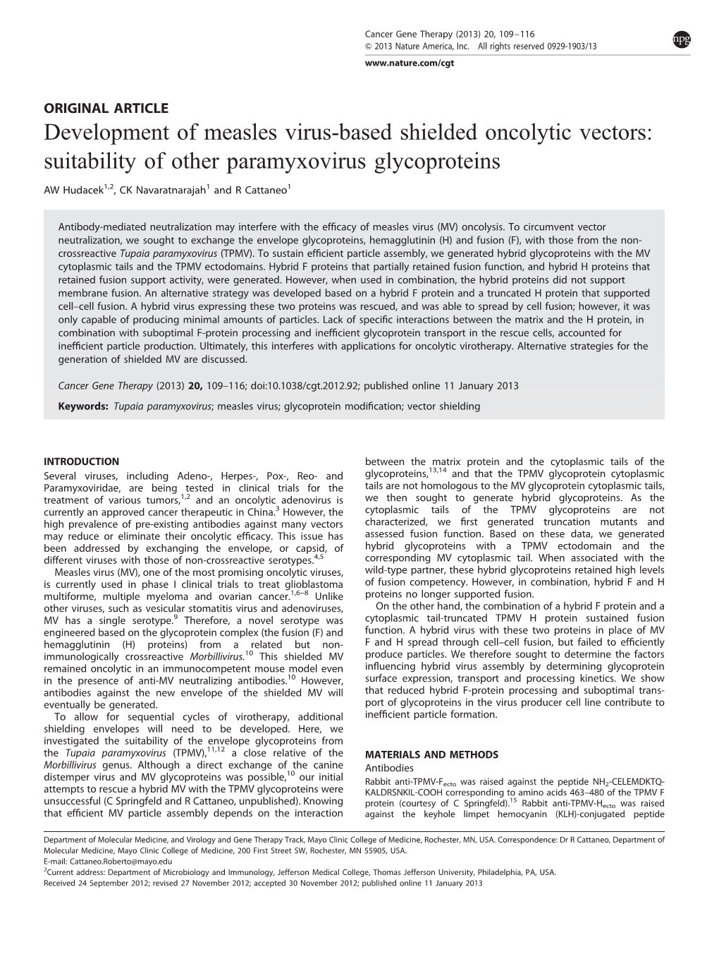 Suitability of Other Paramyxovirus Glycoproteins