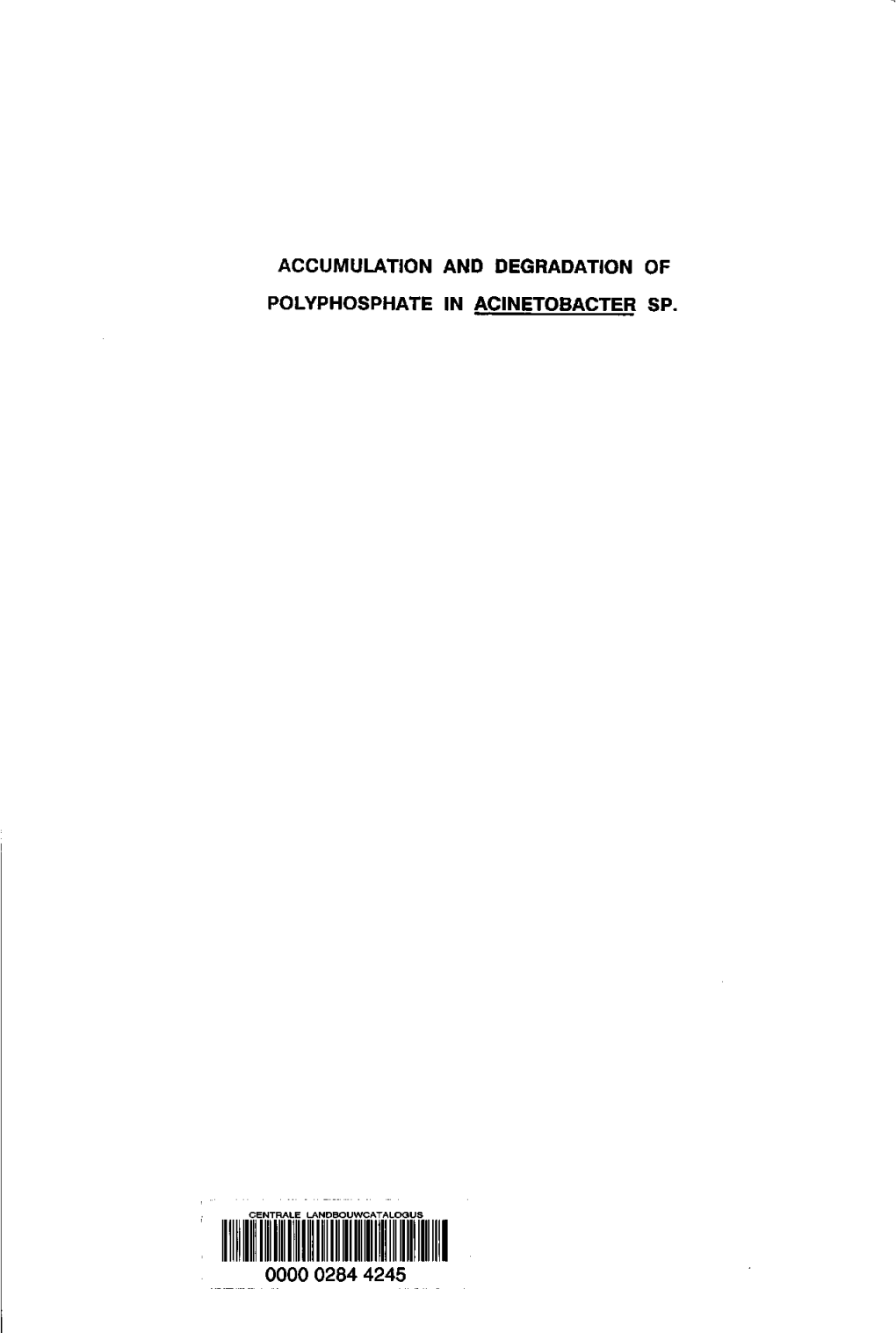 Accumulation and Degradation of Polyphosphate in Ac1netobacter Sp. 0000 0284 4245