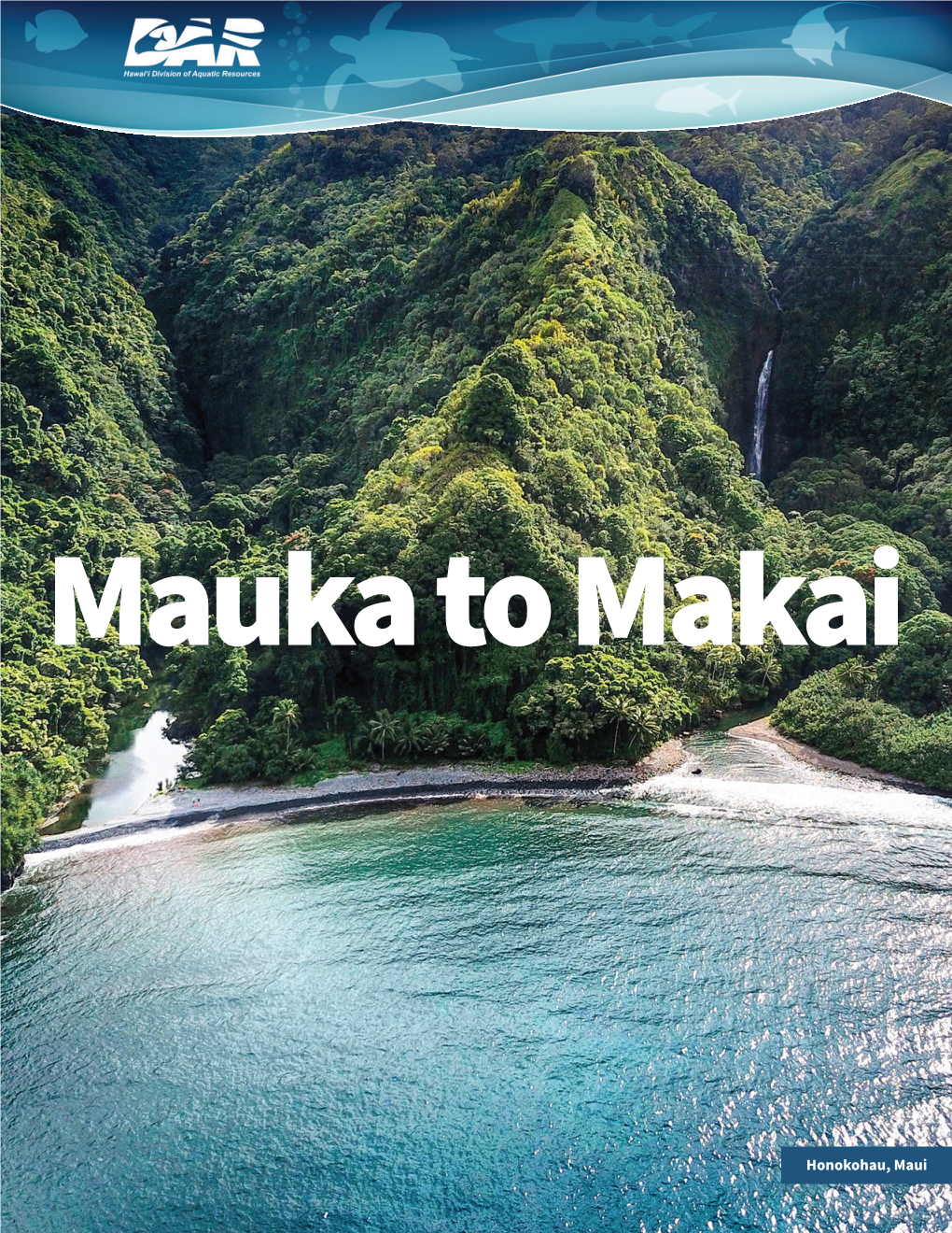 Mauka to Makai