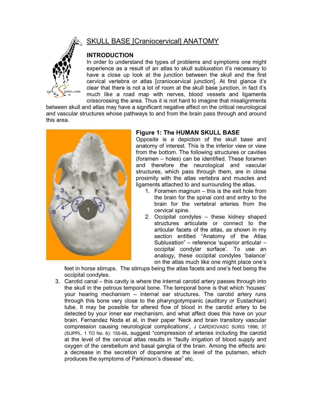 The Skull and Its Contents and Attach It to the Cervical Spine