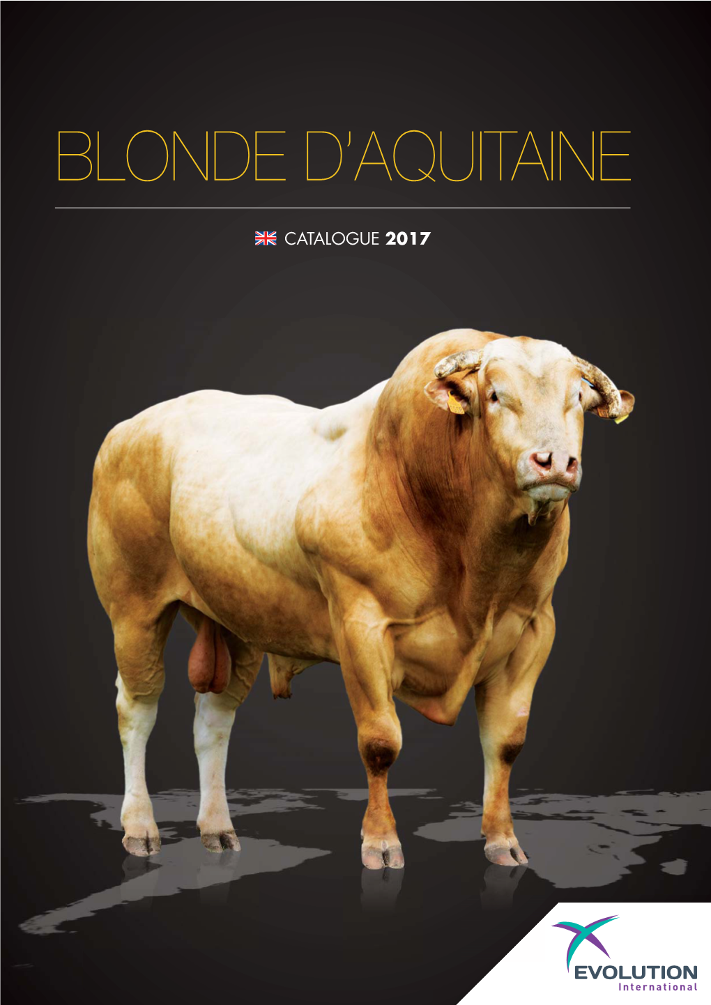 Blonde D'aquitaine