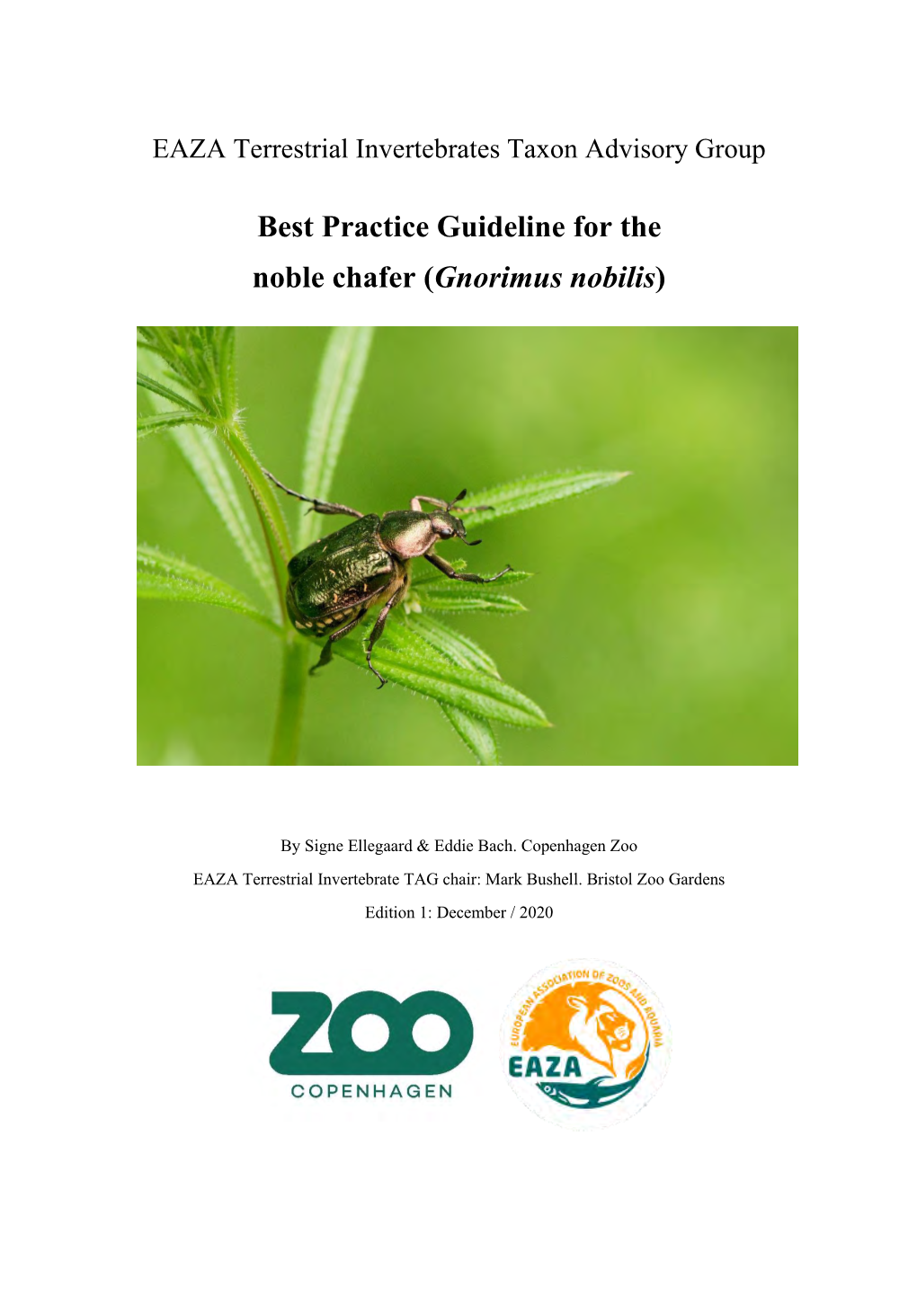 2021 Gnorimus Nobilis (Noble Chafer) EAZA Best Practice