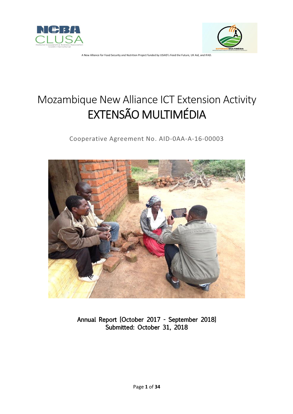 Mozambique ICT , Y3 Annual Report
