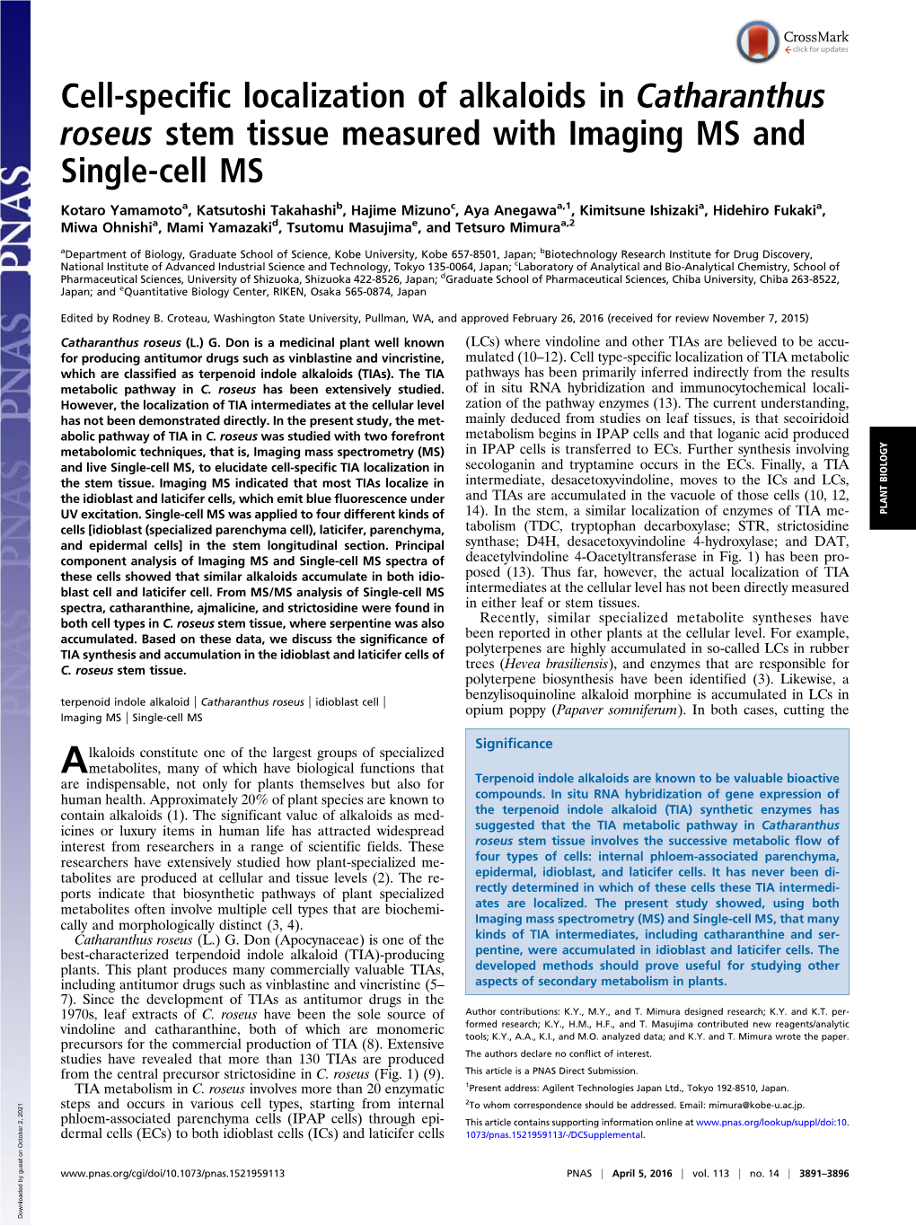 Cell-Specific Localization of Alkaloids in Catharanthus Roseus Stem Tissue Measured with Imaging MS and Single-Cell MS