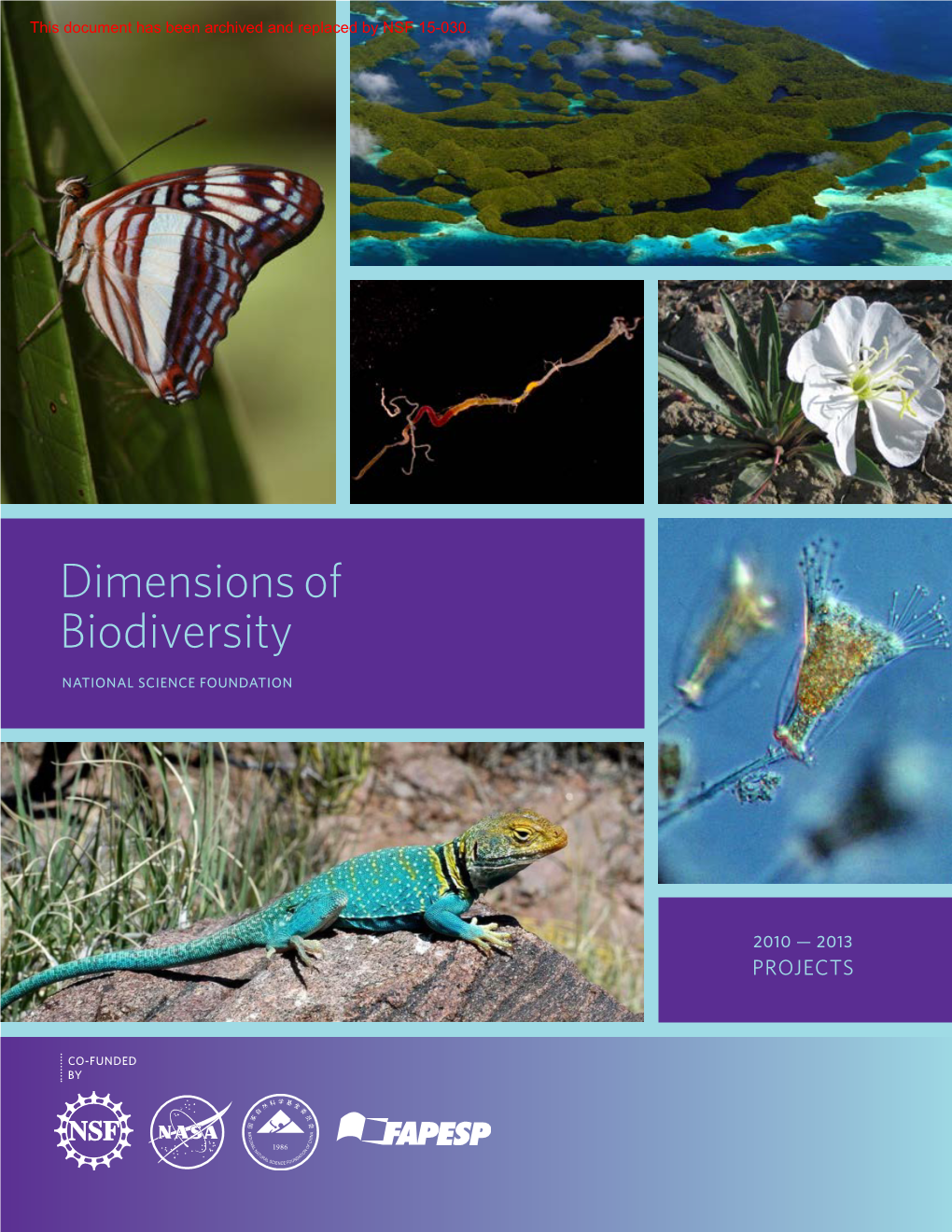 Dimensions of Biodiversity