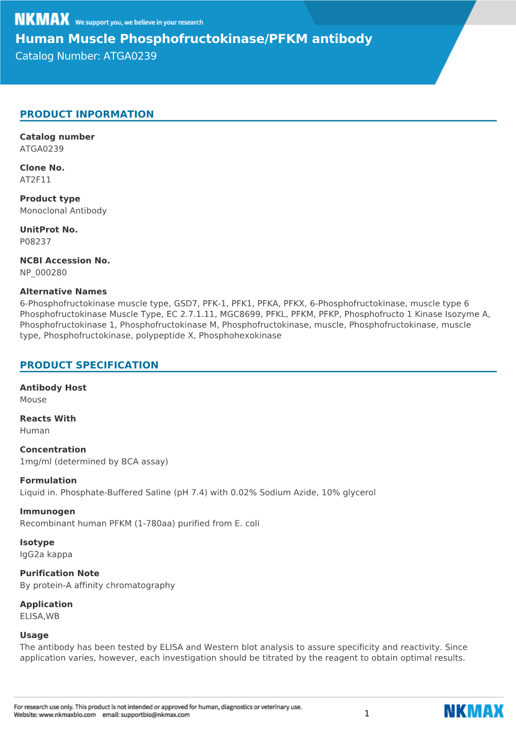 Human Muscle Phosphofructokinase/PFKM Antibody Catalog Number: ATGA0239