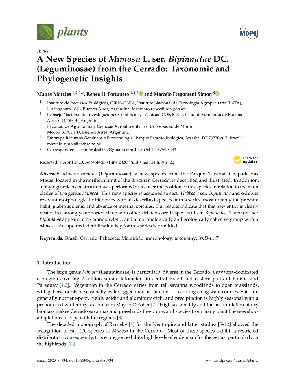 A New Species of Mimosa L. Ser. Bipinnatae DC. (Leguminosae) from the Cerrado: Taxonomic and Phylogenetic Insights