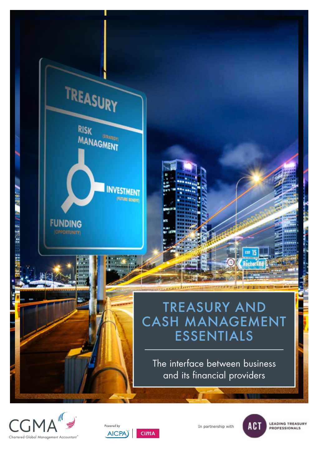 Treasury and Cash Management Essentials.Pdf