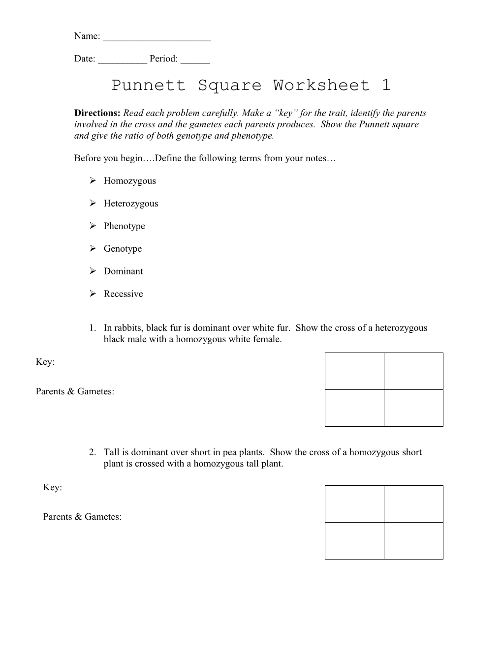 Punnett Square Worksheet