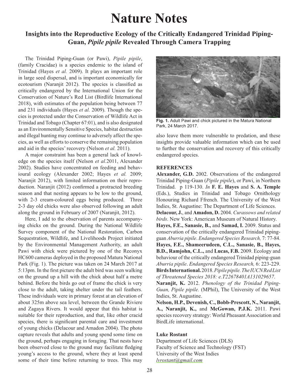 Nature Notes Insights Into the Reproductive Ecology of the Critically Endangered Trinidad Piping- Guan, Pipile Pipile Revealed Through Camera Trapping