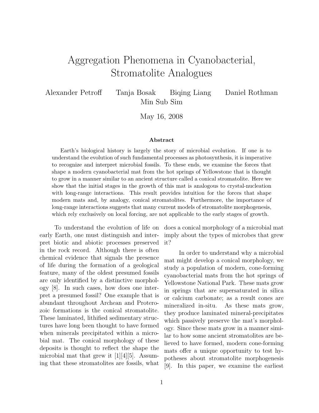 Aggregation Phenomena in Cyanobacterial, Stromatolite Analogues