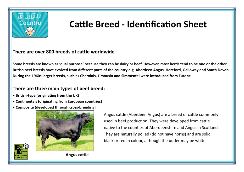 Cattle Breed - Identification Sheet