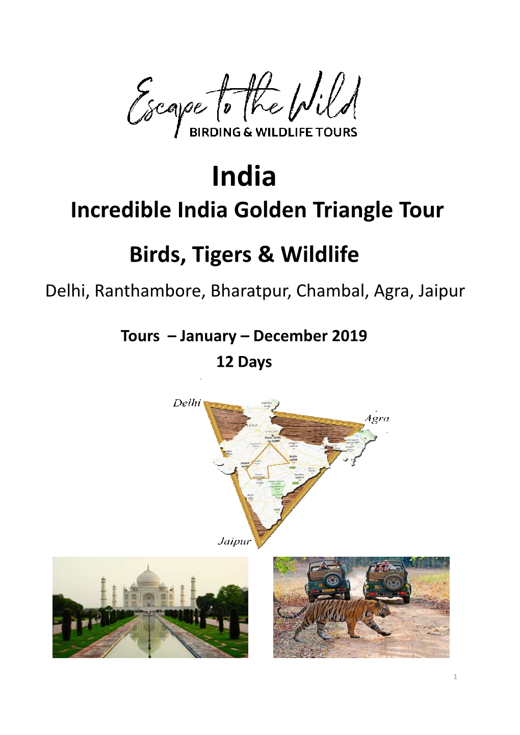 India 12 Day Tour
