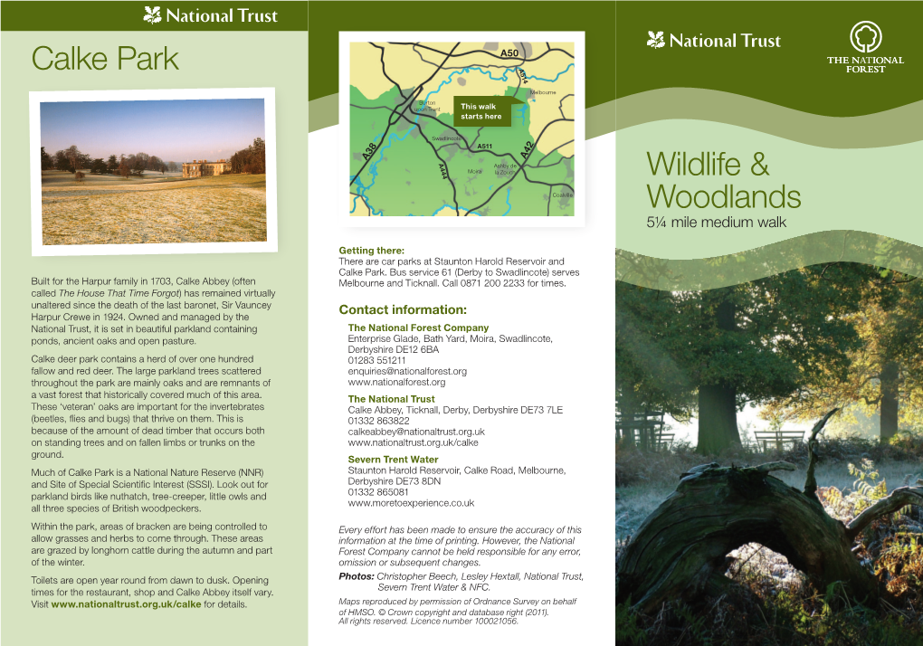 Wildlife & Woodlands Calke Park