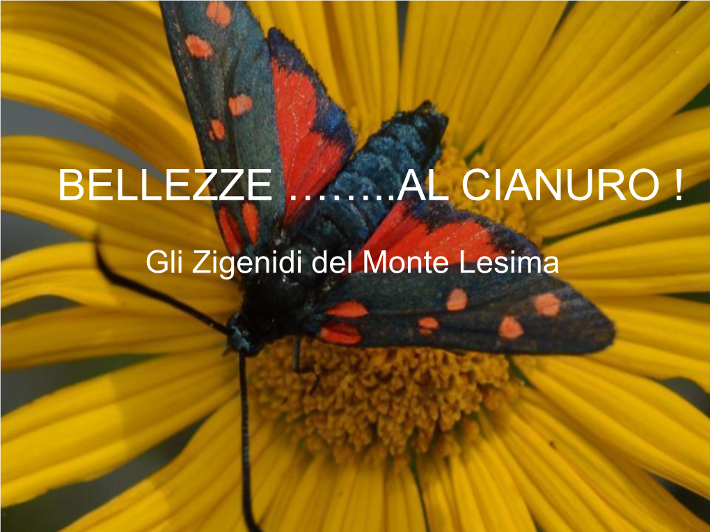 Bellezze ……..Al Cianuro !