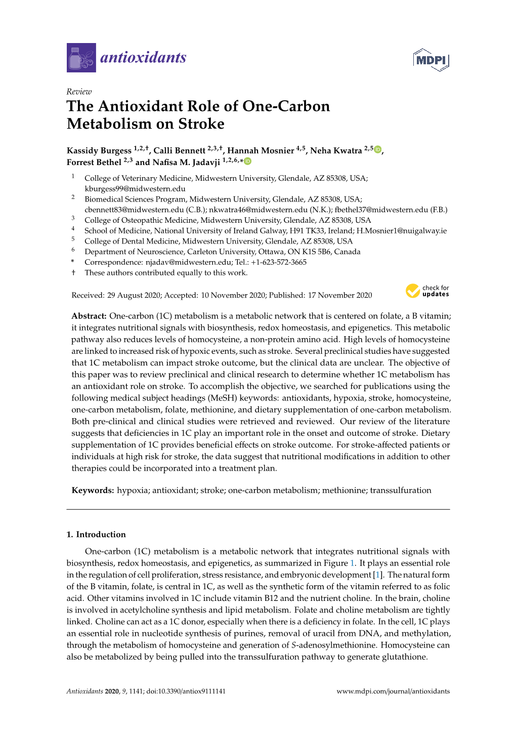 The Antioxidant Role of One-Carbon Metabolism on Stroke