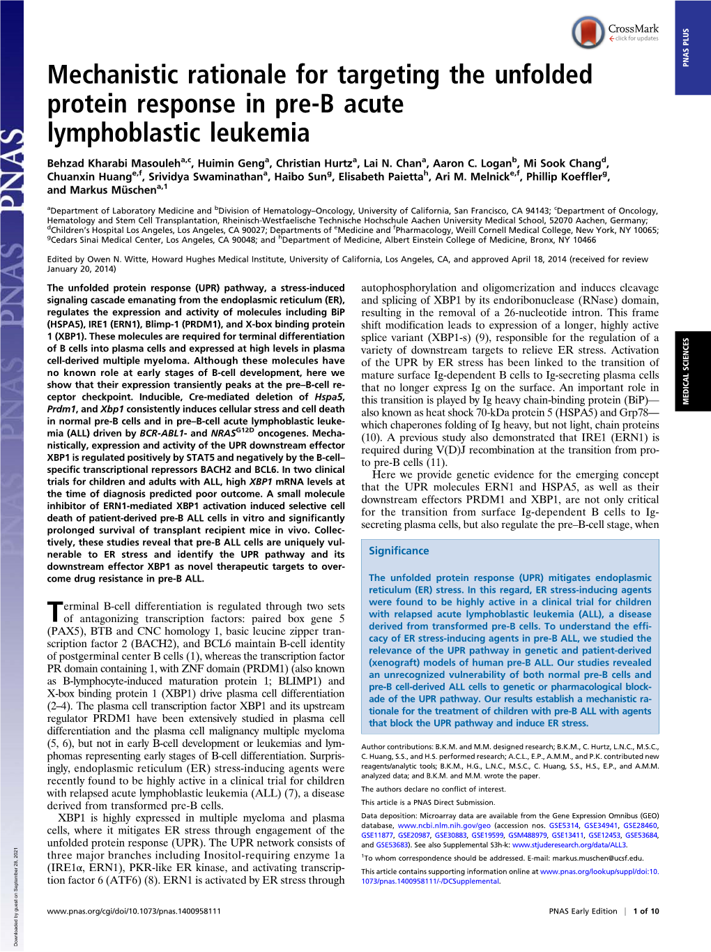 Mechanistic Rationale for Targeting the Unfolded Protein Response in Pre-B