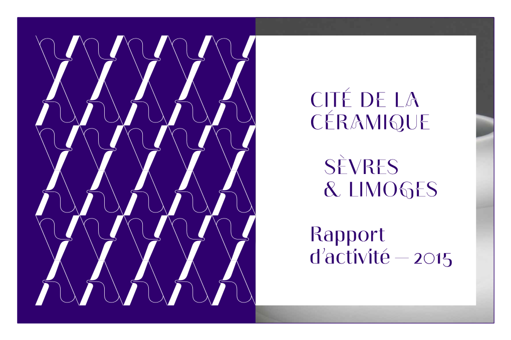 Rapport-D-Activite-2015-Sevres.Pdf