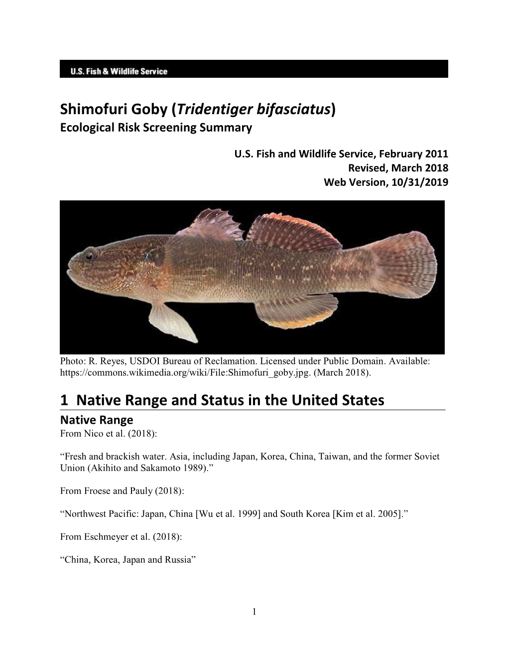 Tridentiger Bifasciatus (Shimofuri Goby) Ecological Risk Screening Summary