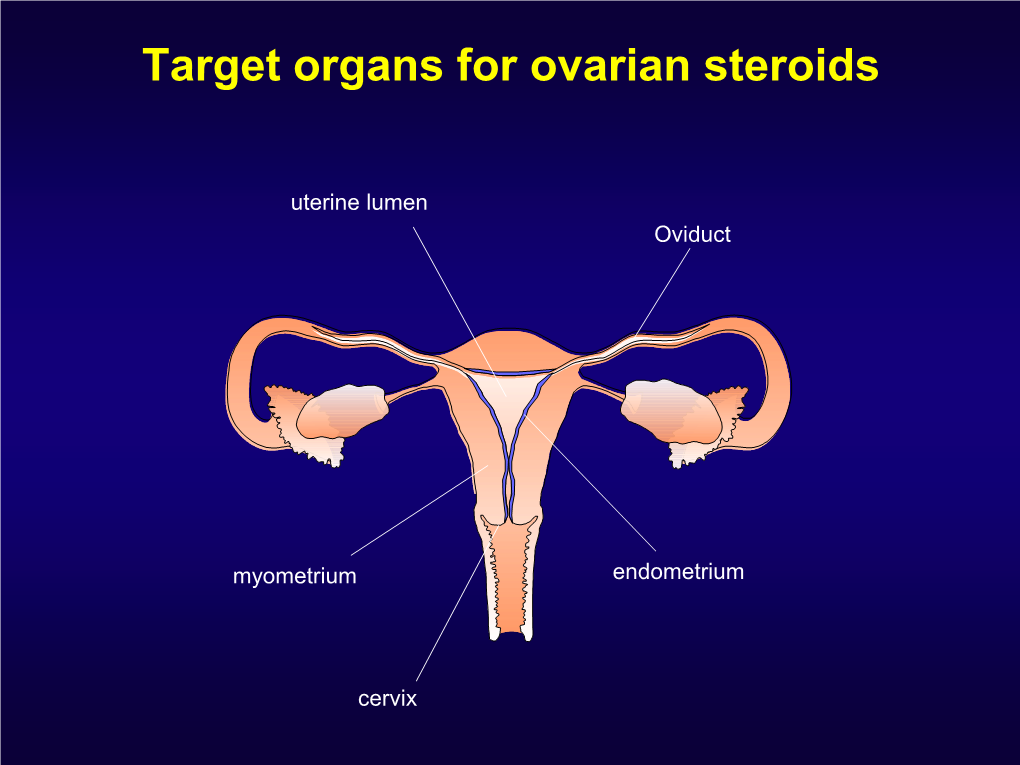 Molecular Biology Slides