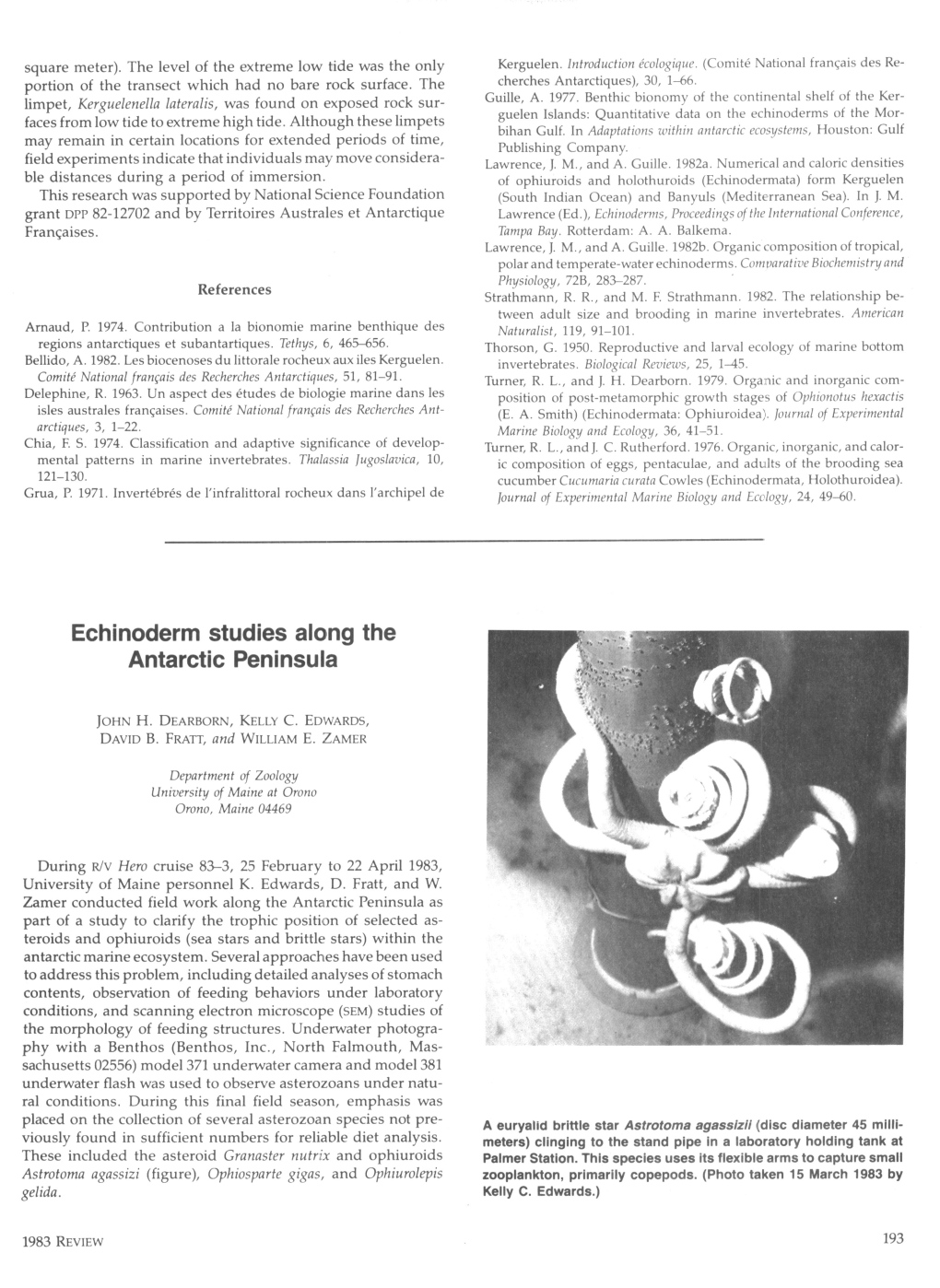 Echinoderm Studies Along the Antarctic Peninsula