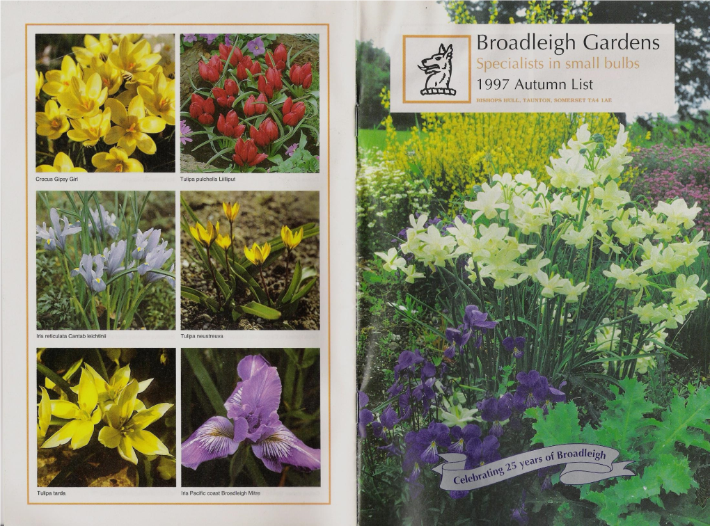 Broadleigh Gardens Specialists Ii :,Mall Bulbs 1997 Autumn List