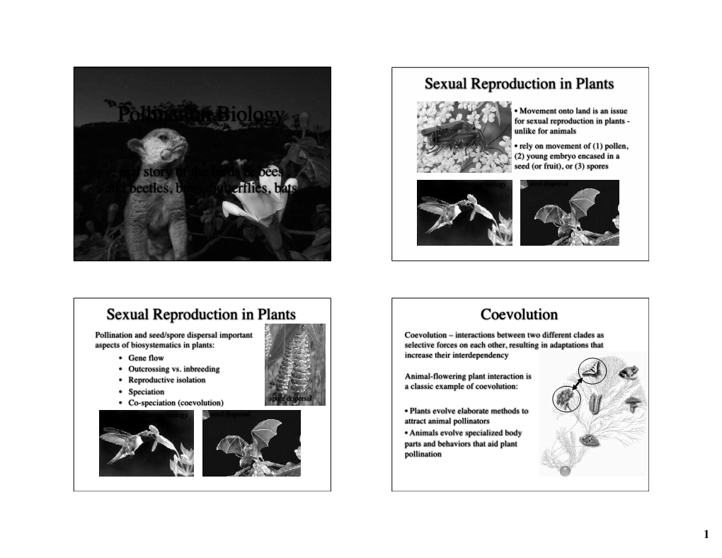 Pollination Biology for Sexual Reproduction in Plants - Unlike for Animals • Rely on Movement of (1) Pollen, (2) Young Embryo Encased in A