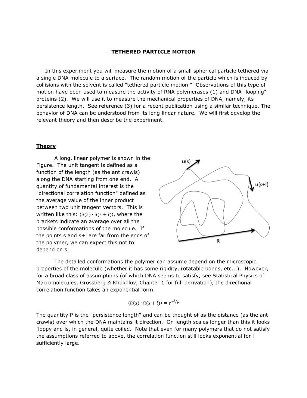 TETHERED PARTICLE MOTION in This Experiment You Will Measure