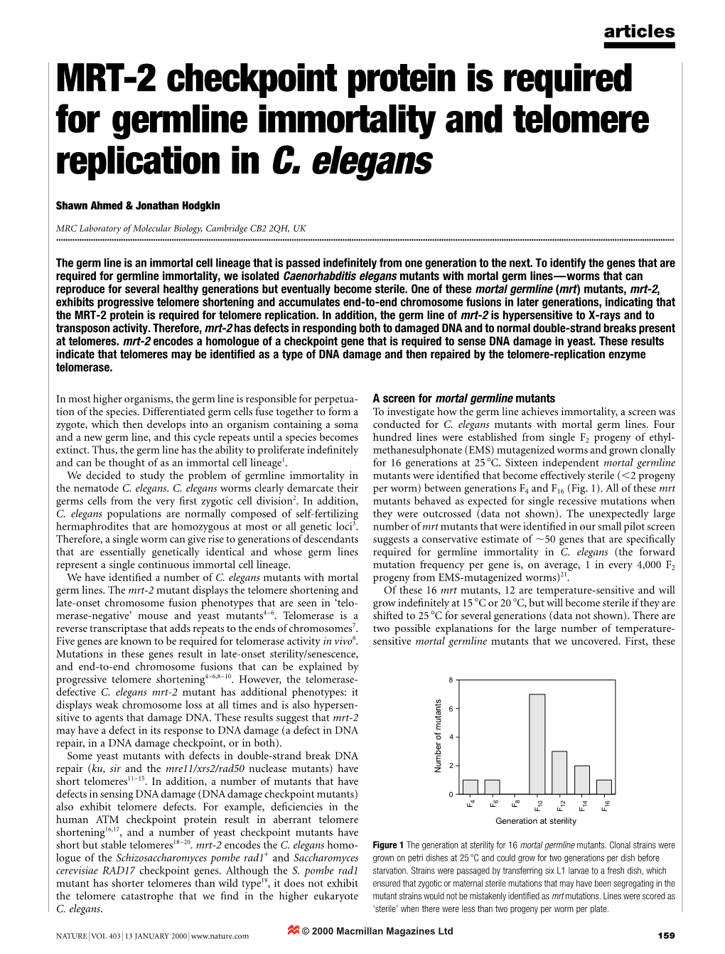 MRT-2 Checkpoint Protein Is Required for Germline Immortality and Telomere Replication in C