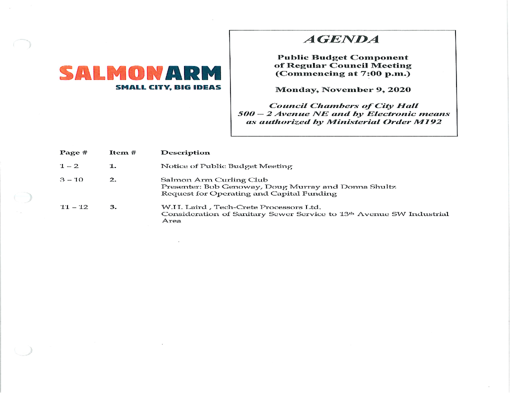 SAIMONURM (Commencing at 7:00 P.M.) SMALL CITY, BIG IDEAS Monday, November 9, 2020