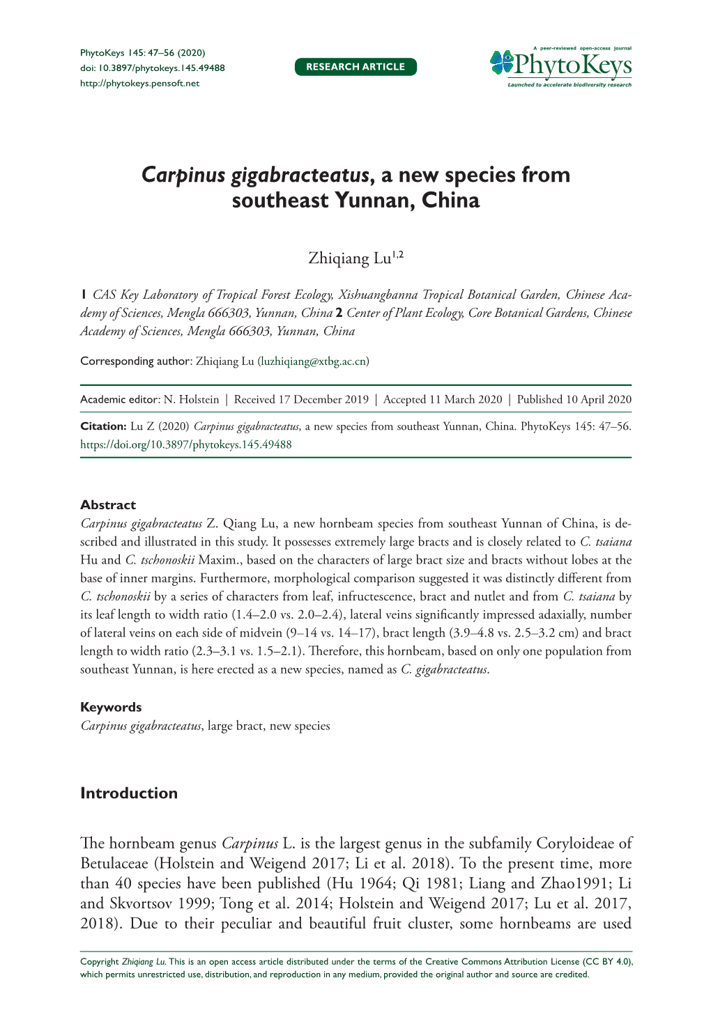 Carpinus Gigabracteatus, a New Species from Southeast Yunnan, China