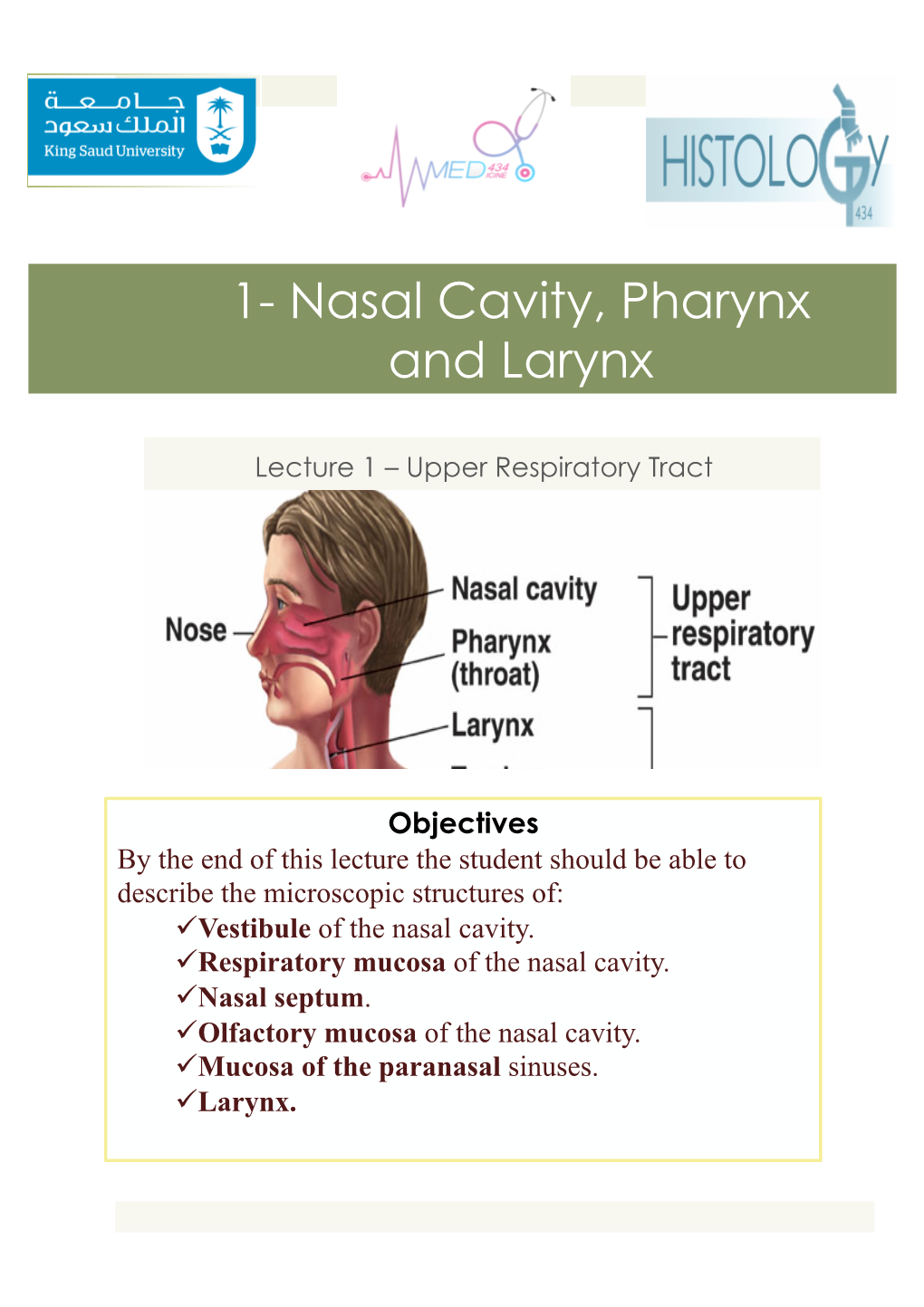 Nasal Cavity, Pharynx and Larynx