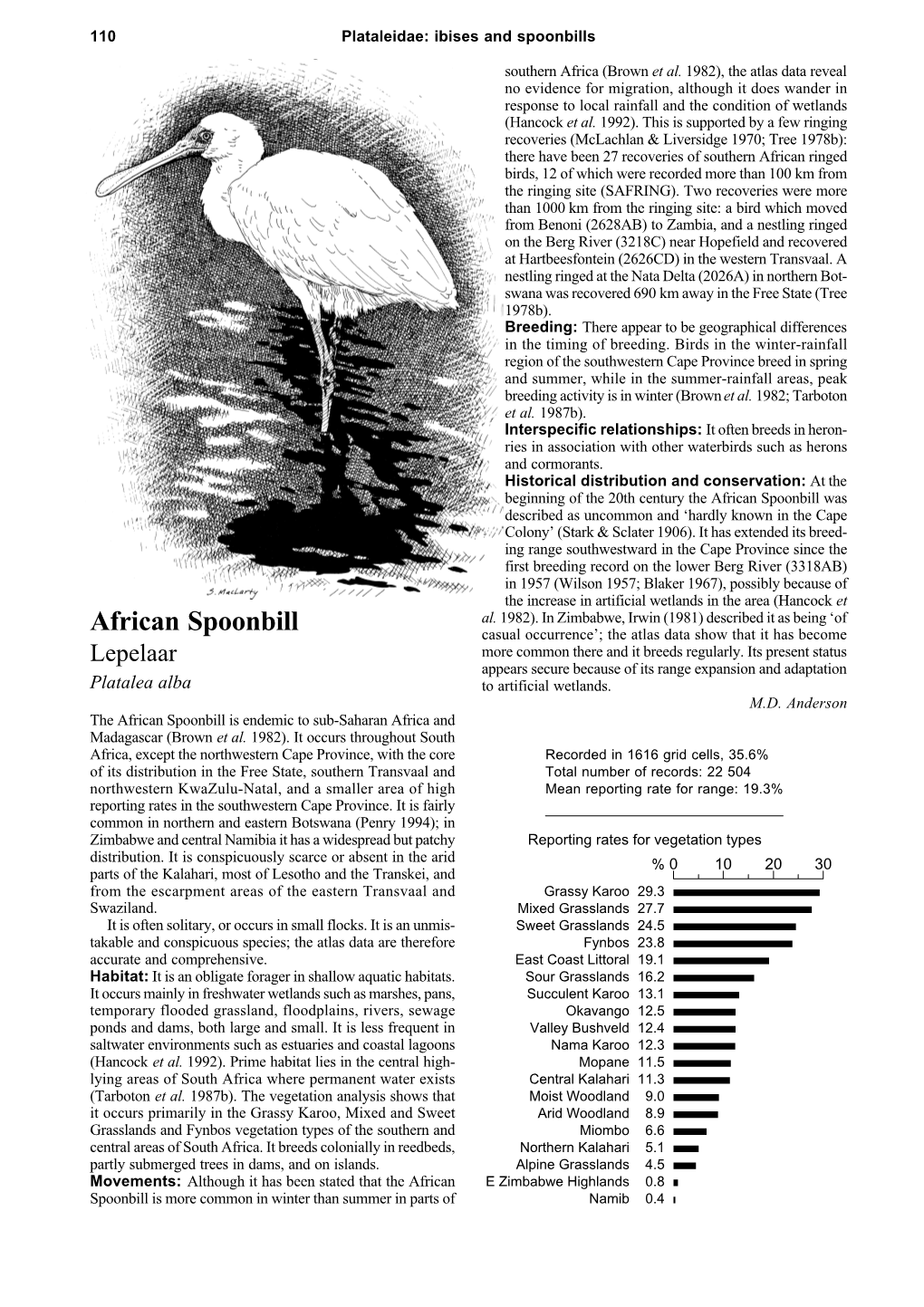 African Spoonbill Was Described As Uncommon and ‘Hardly Known in the Cape Colony’ (Stark & Sclater 1906)